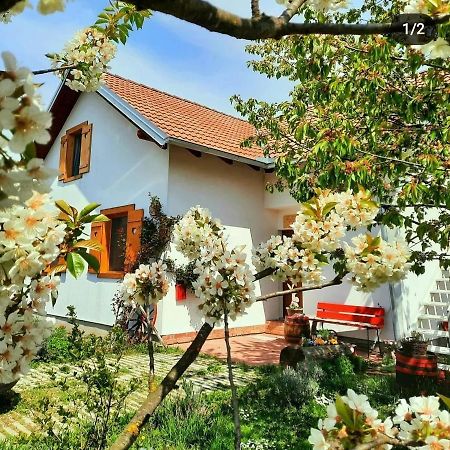 Kuca Za Odmor "Dva Srca" Hotel Ceminac Buitenkant foto