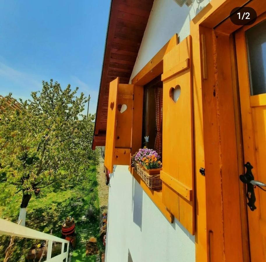 Kuca Za Odmor "Dva Srca" Hotel Ceminac Buitenkant foto
