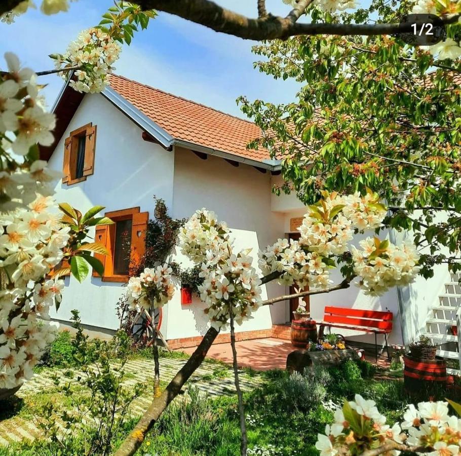 Kuca Za Odmor "Dva Srca" Hotel Ceminac Buitenkant foto