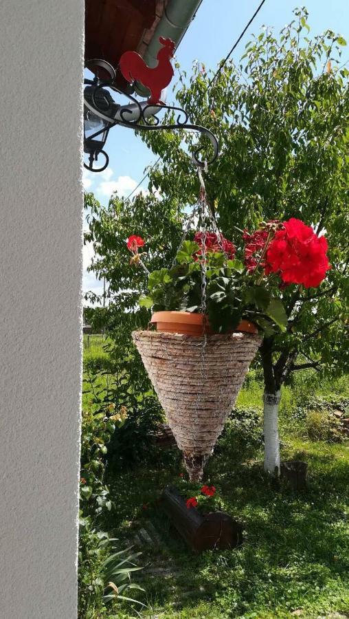 Kuca Za Odmor "Dva Srca" Hotel Ceminac Buitenkant foto