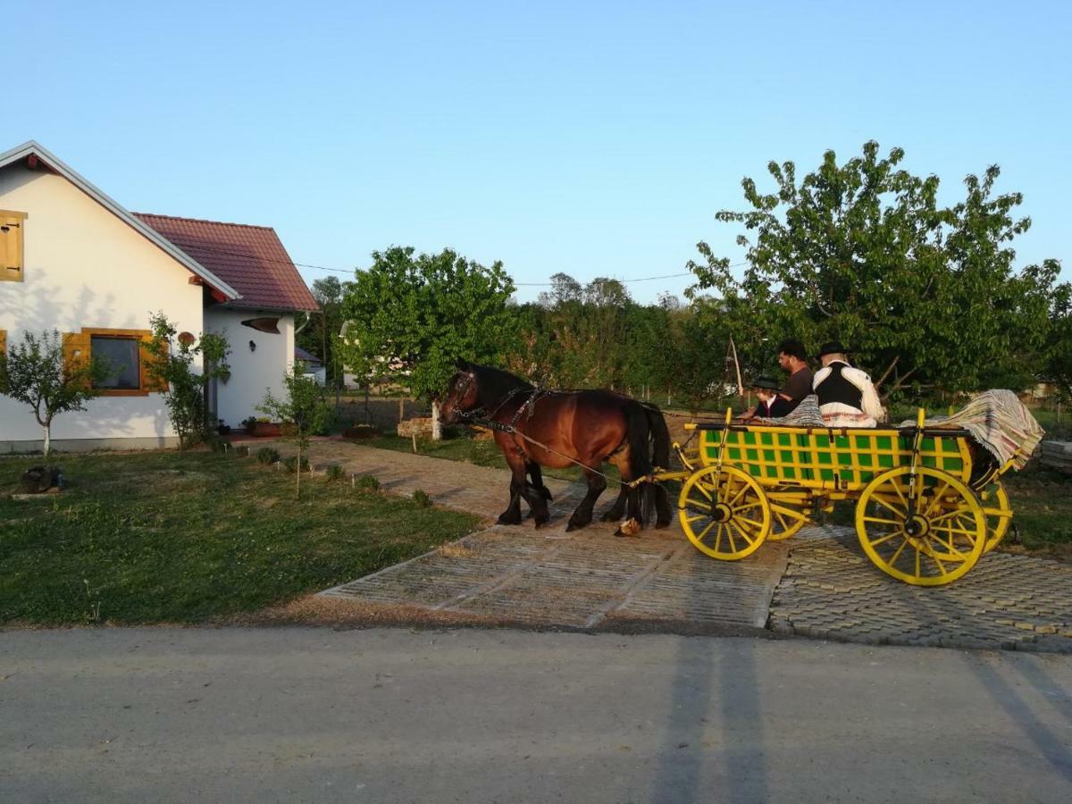 Kuca Za Odmor "Dva Srca" Hotel Ceminac Buitenkant foto