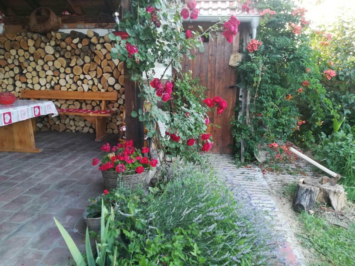 Kuca Za Odmor "Dva Srca" Hotel Ceminac Buitenkant foto